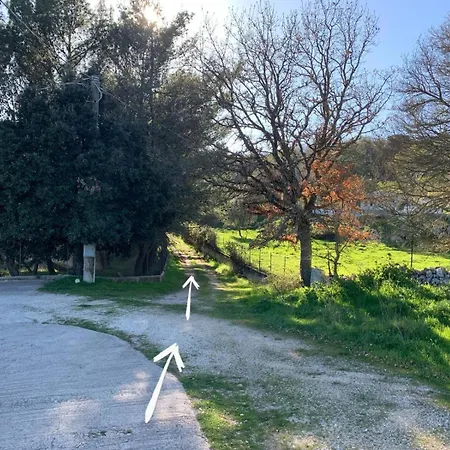 La Casa Nel Bosco Feriehus