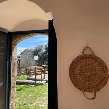 La Casa Nel Bosco * Mattinata