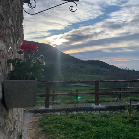 La Casa Nel Bosco