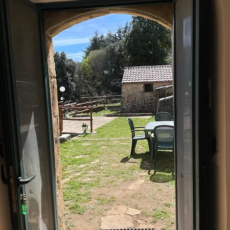 La Casa Nel Bosco Mattinata