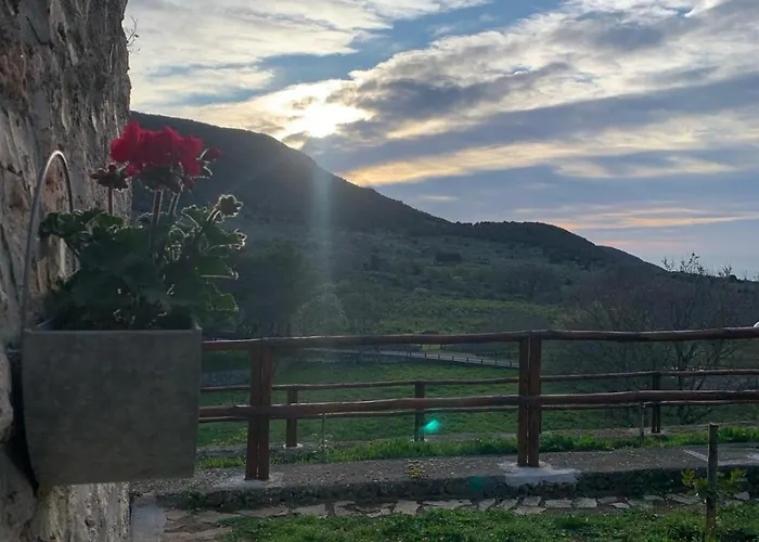 La Casa Nel Bosco